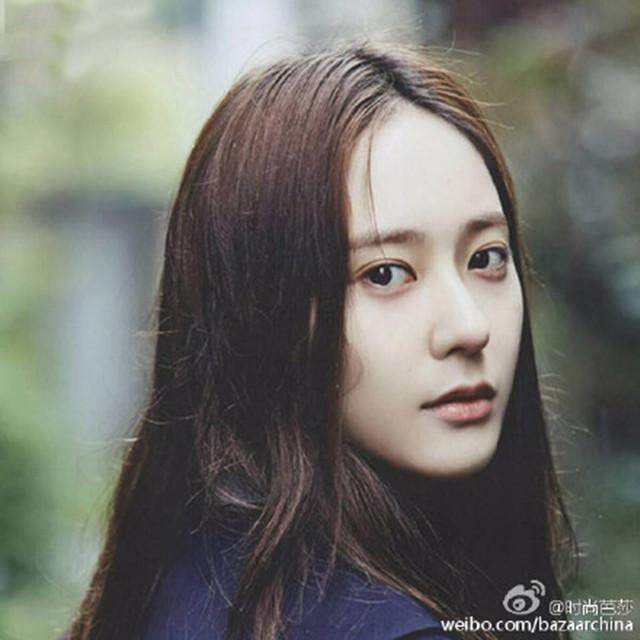 牡丹心动瞬间